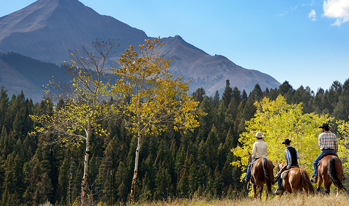 CaseStudy State of Montana