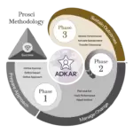 Phase 3 – Manage Change